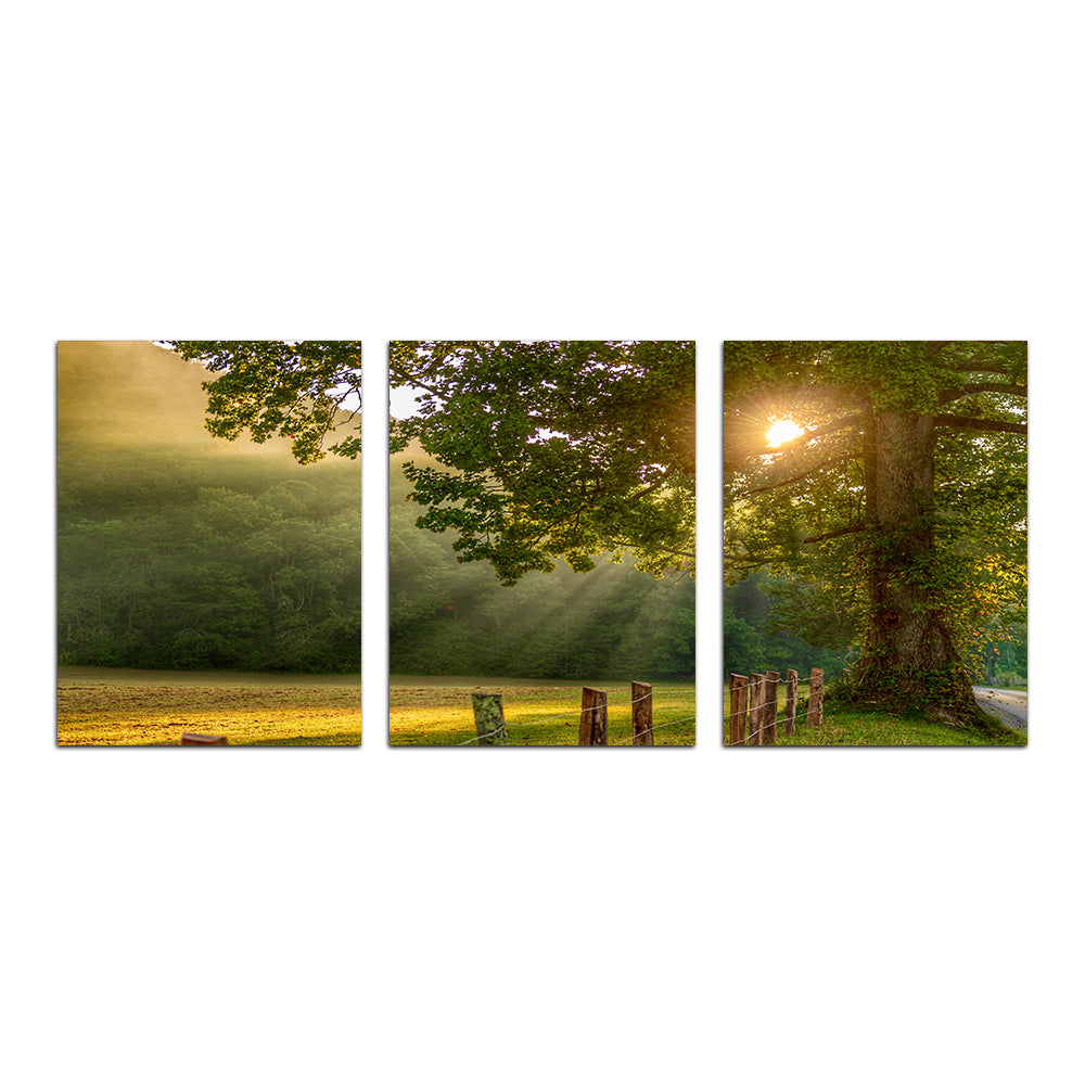 Stunning Cades Cove Wall Art for Home Decor
