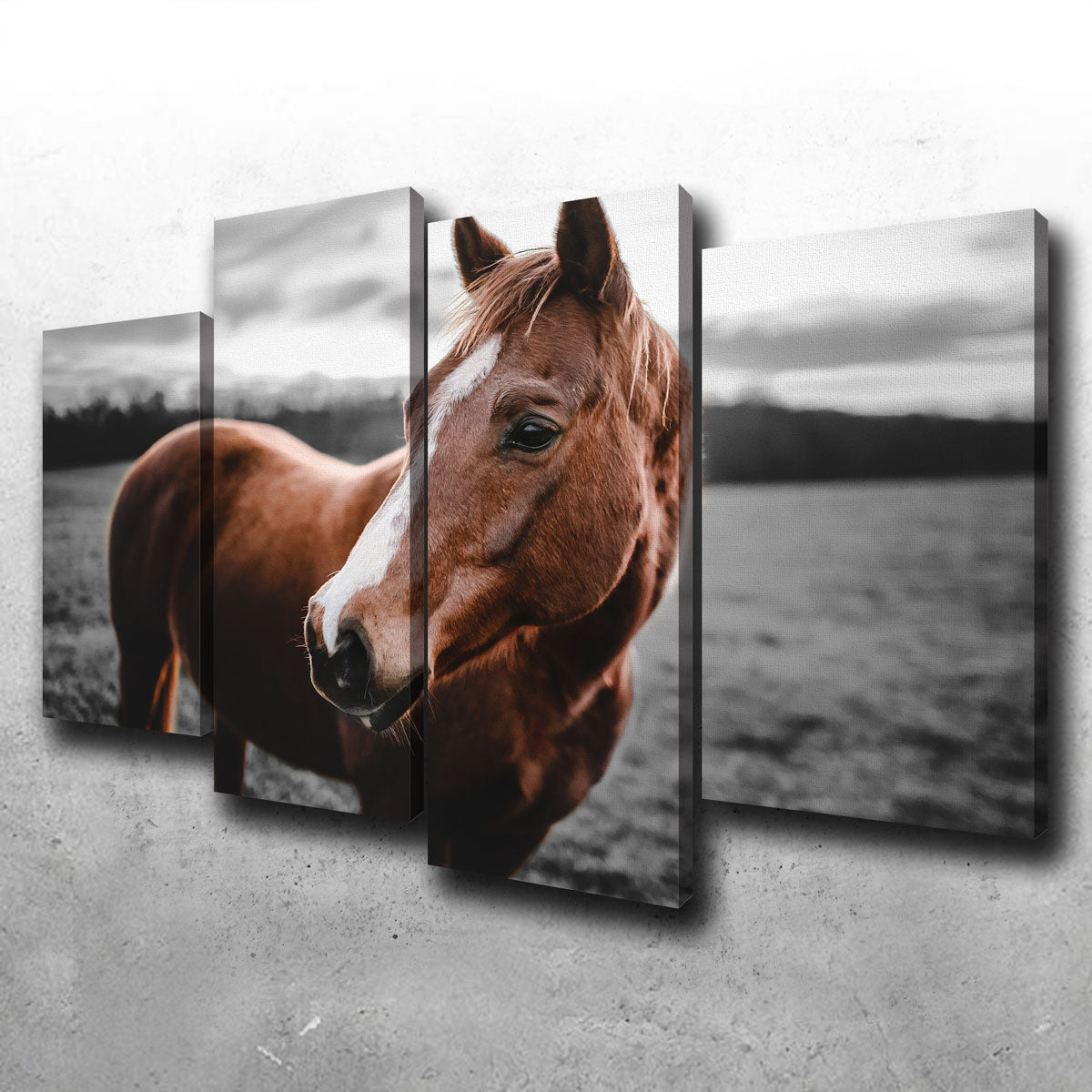 Exquisite Shining Horse Wall Art by Lucas Moore