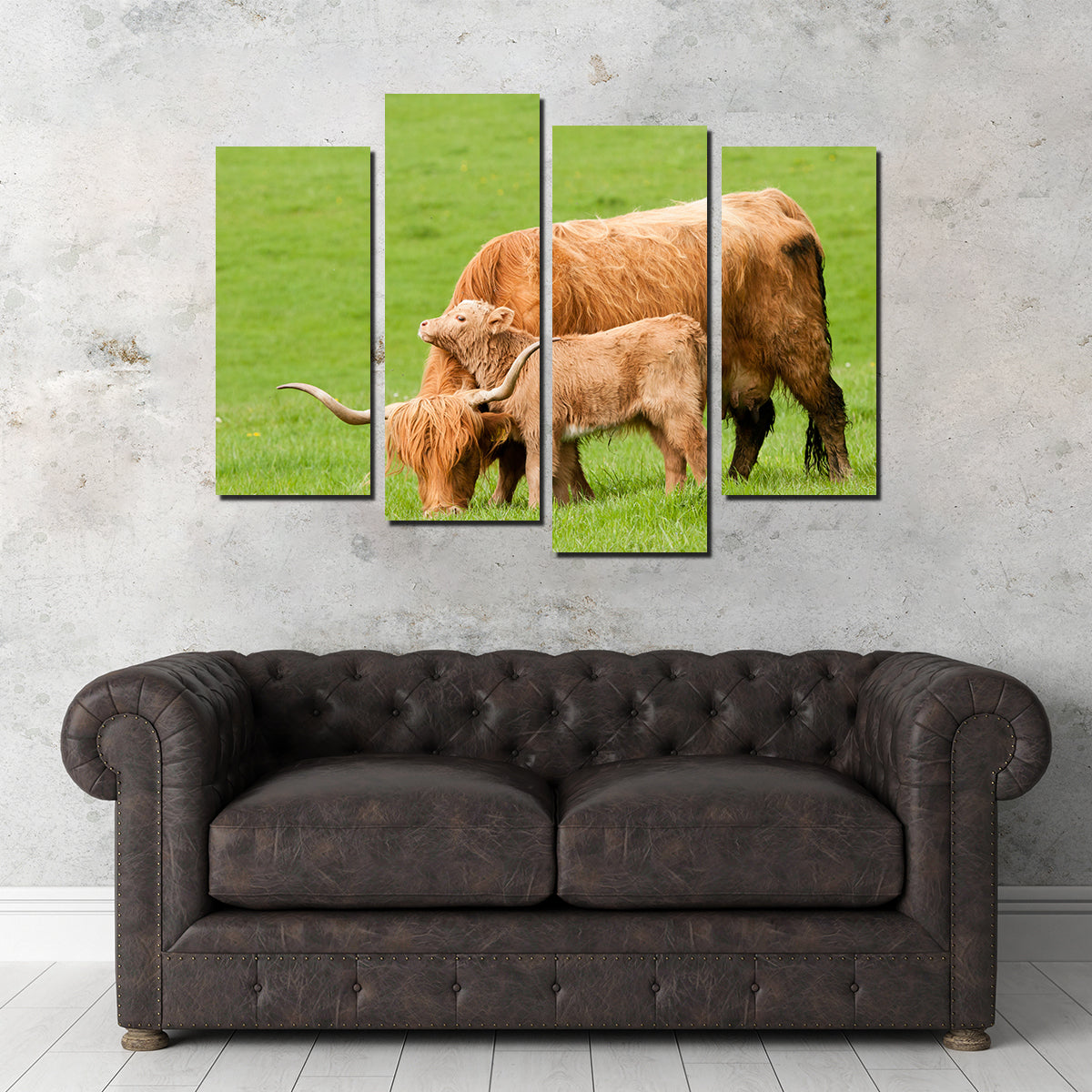 Charming Highland Cow with Adorable Loving Calf Wall Art for Stunning Home Decor