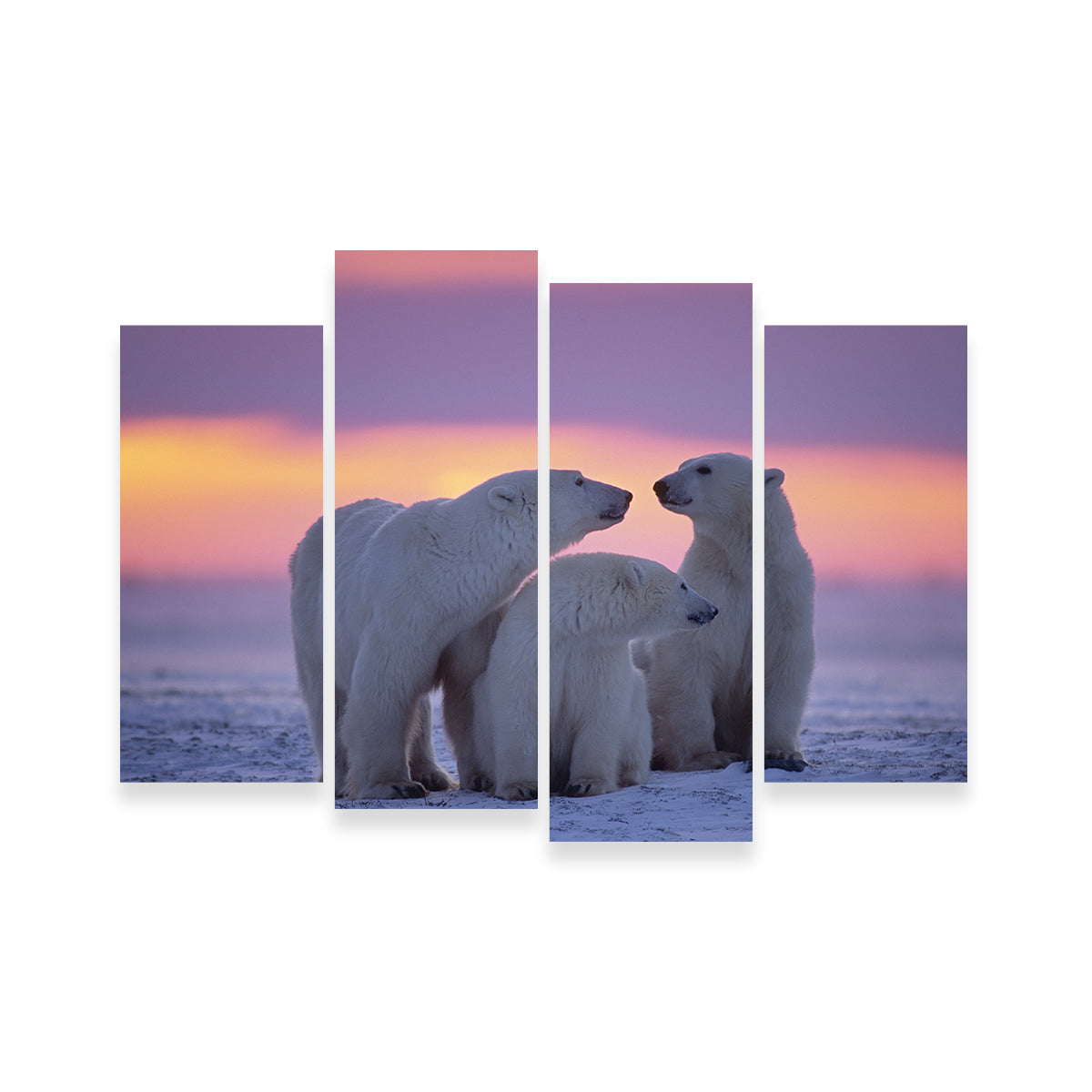 Stunning Polar Bear Family - Canadian Arctic Wall Art for Your Home Decor