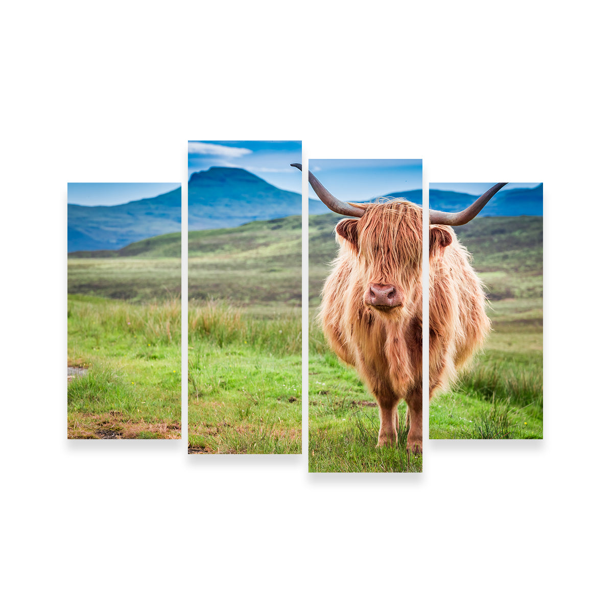 Charming Highland Cow in Isle of Skye Wall Art for Stunning Decor