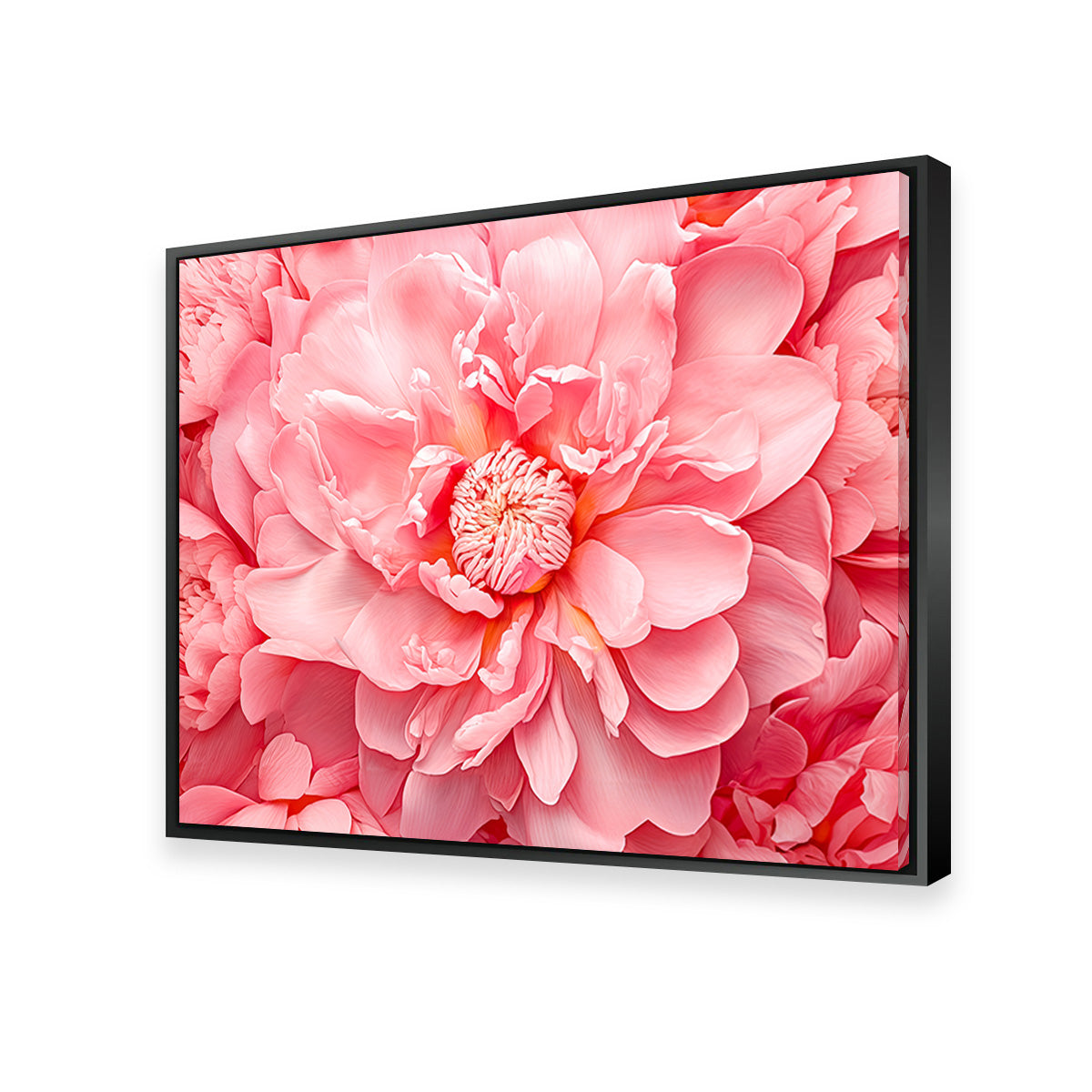 Stunning Pink Flower Canvas Print