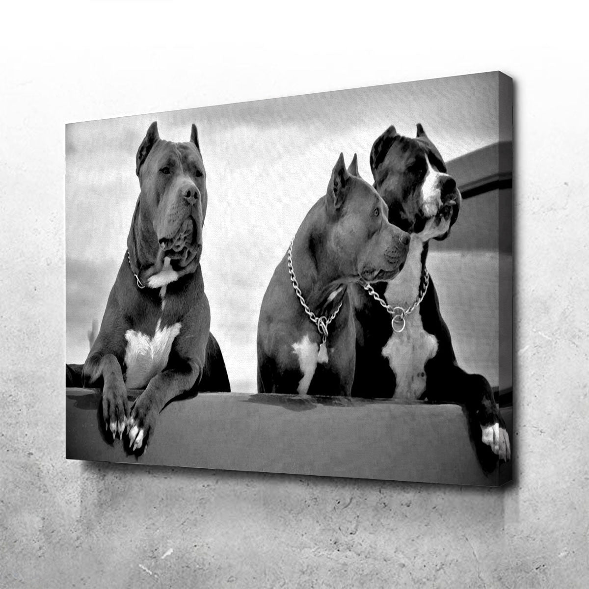 Stunning Pit Bulls Wall Art for Your Home Decor