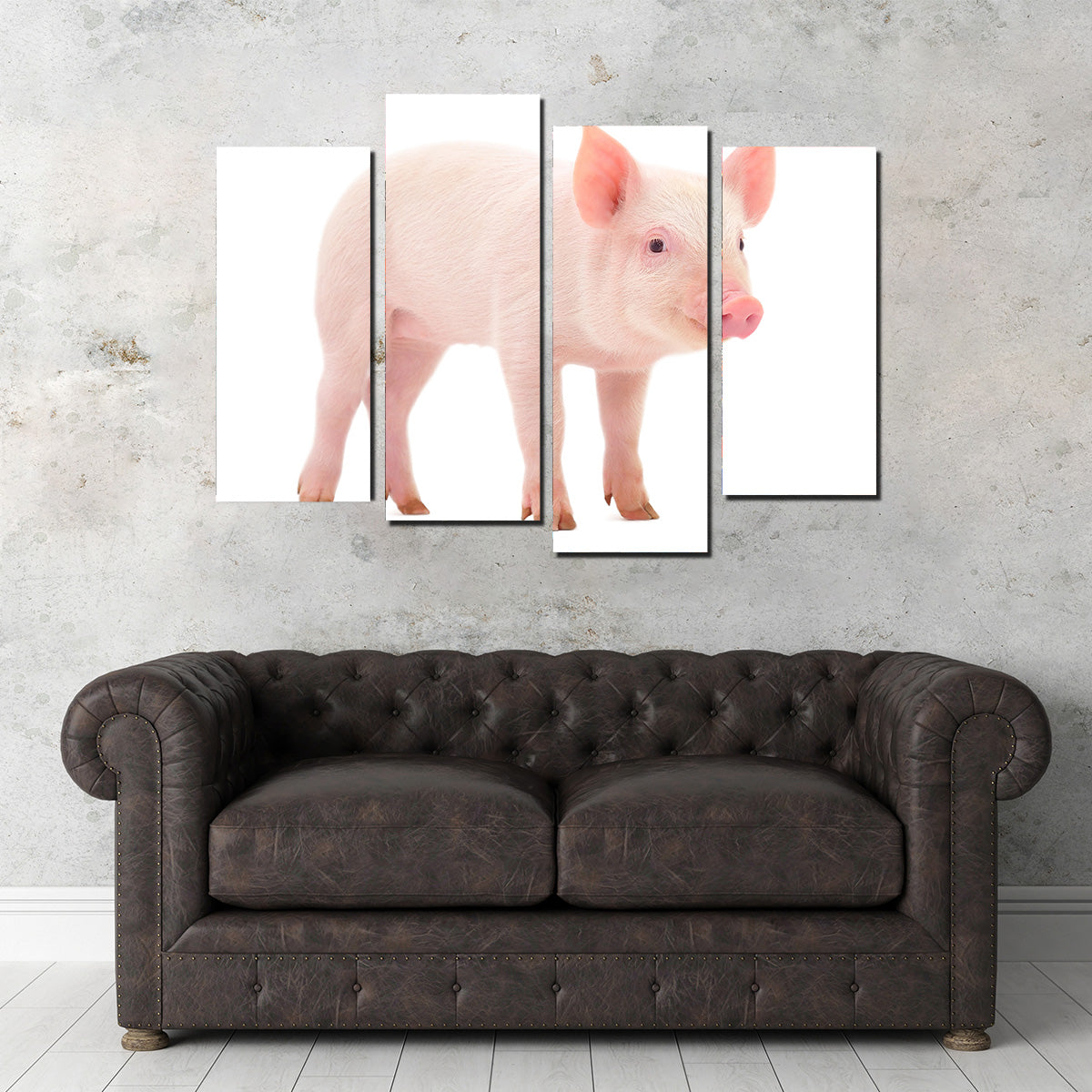 Adorable Baby Pig Canvas Print