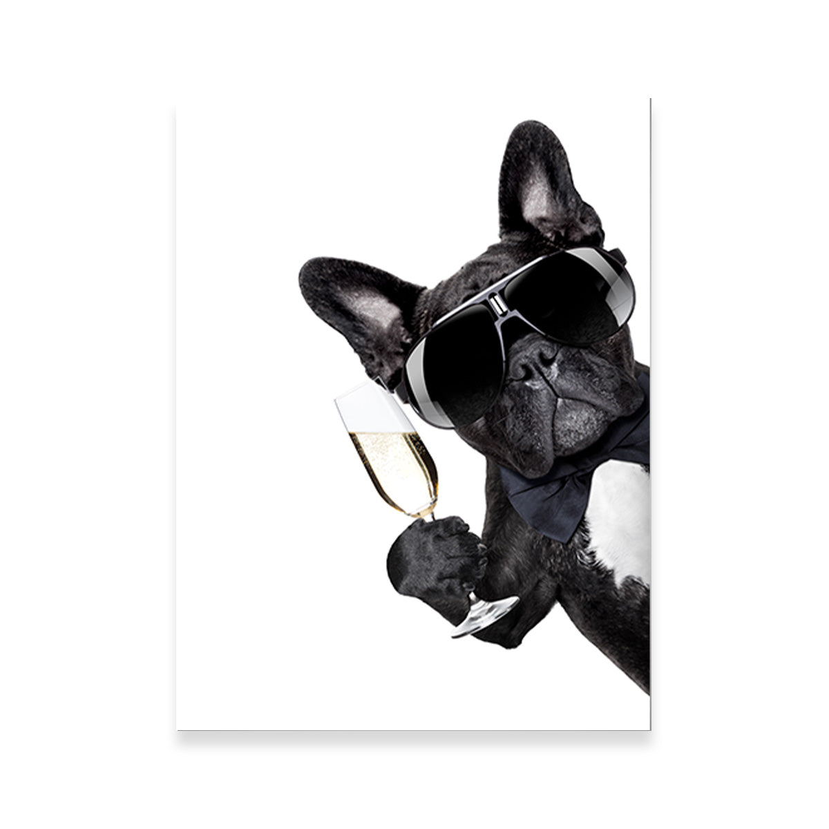 Exquisite Champagne Dog Wall Art for Home Decor