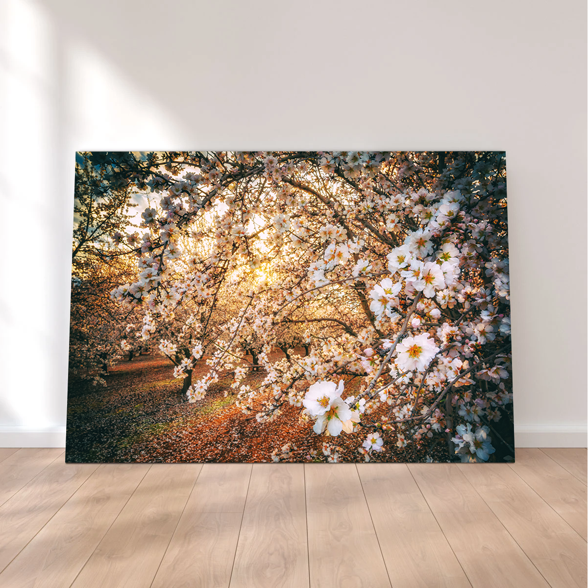 Stunning California Blossom Trail Wall Art for Your Home Decor