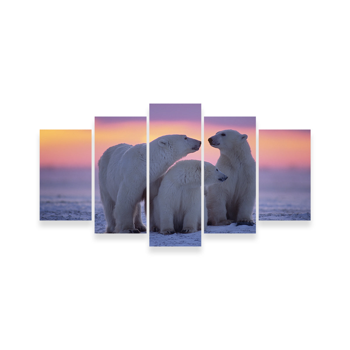 Stunning Polar Bear Family - Canadian Arctic Wall Art for Your Home Decor