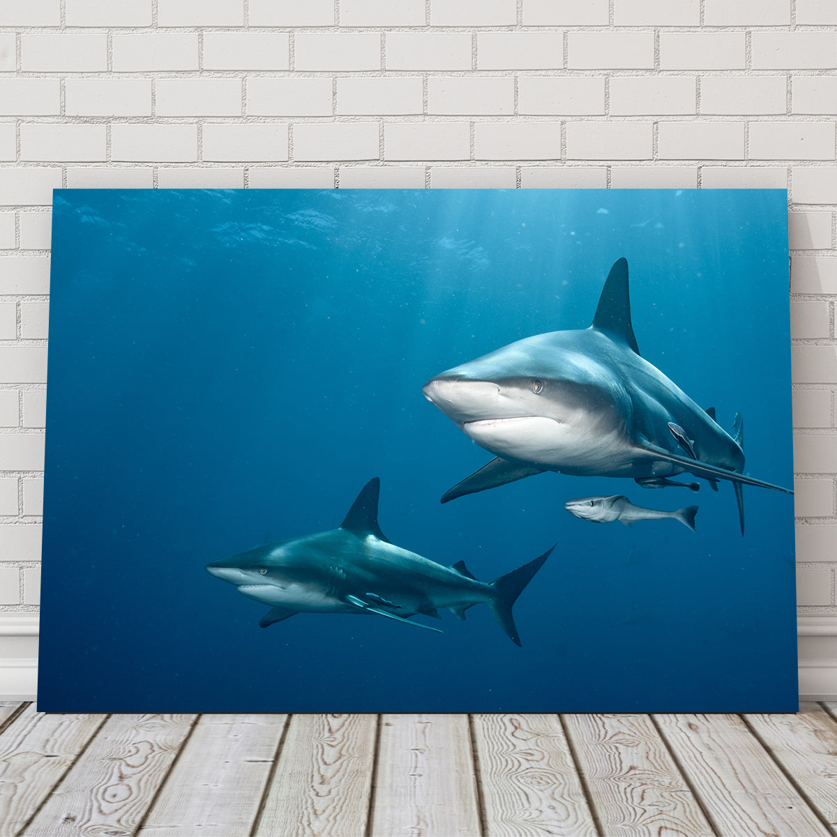 Exquisite Shark Pair Wall Art for Stunning Home Decor