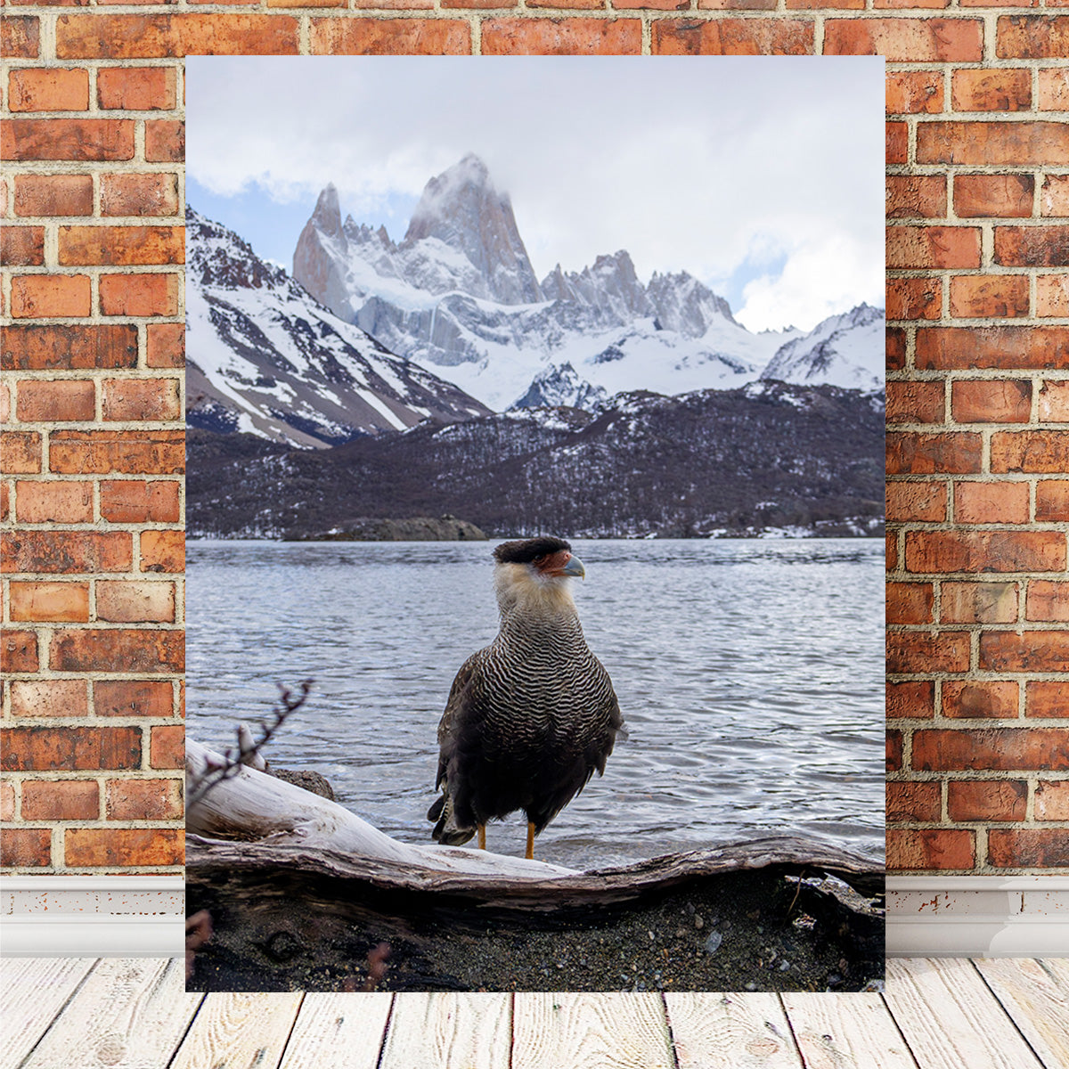Stunning Carcará and Fitz Roy Art Prints by Sofia Leite Fonseca