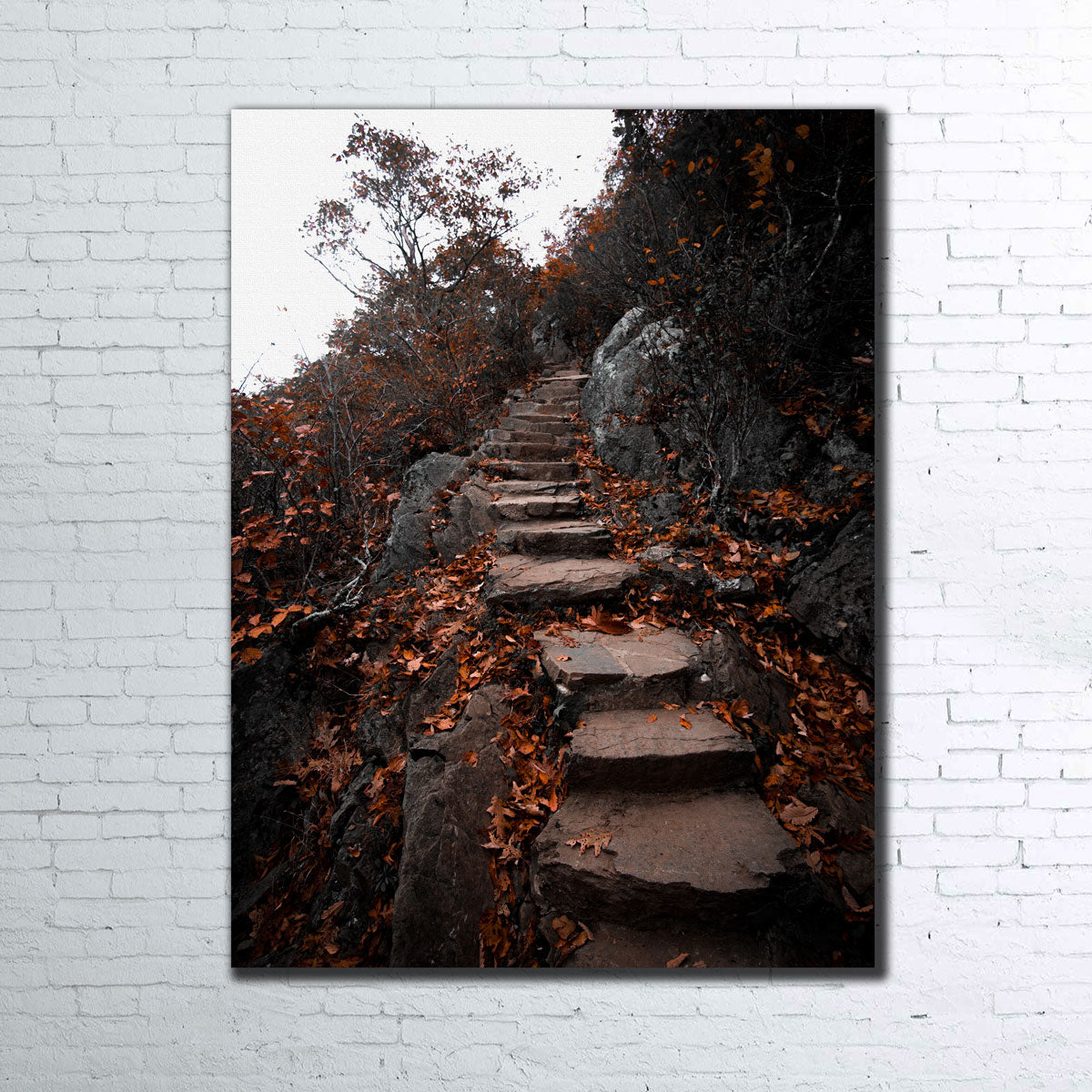 Stunning Autumn Path Wall Art by Lucas Moore