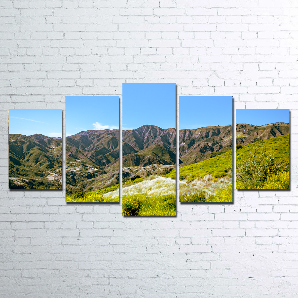 Stunning Alexander Peak Wall Art by Kyle Sherry