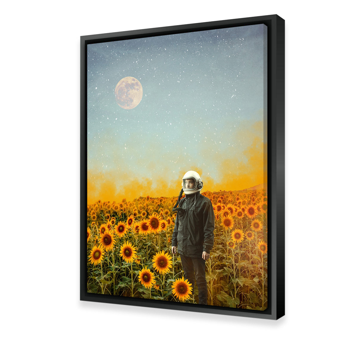 Astro Garden Wall Art by RAPart - Premium Kiln - Dried Pine Wood Framed Canvas