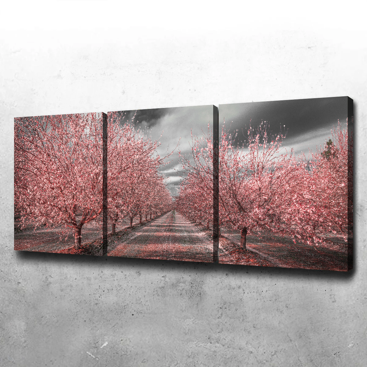 Stunning California Pink Blossoms Wall Art for Your Home Decor