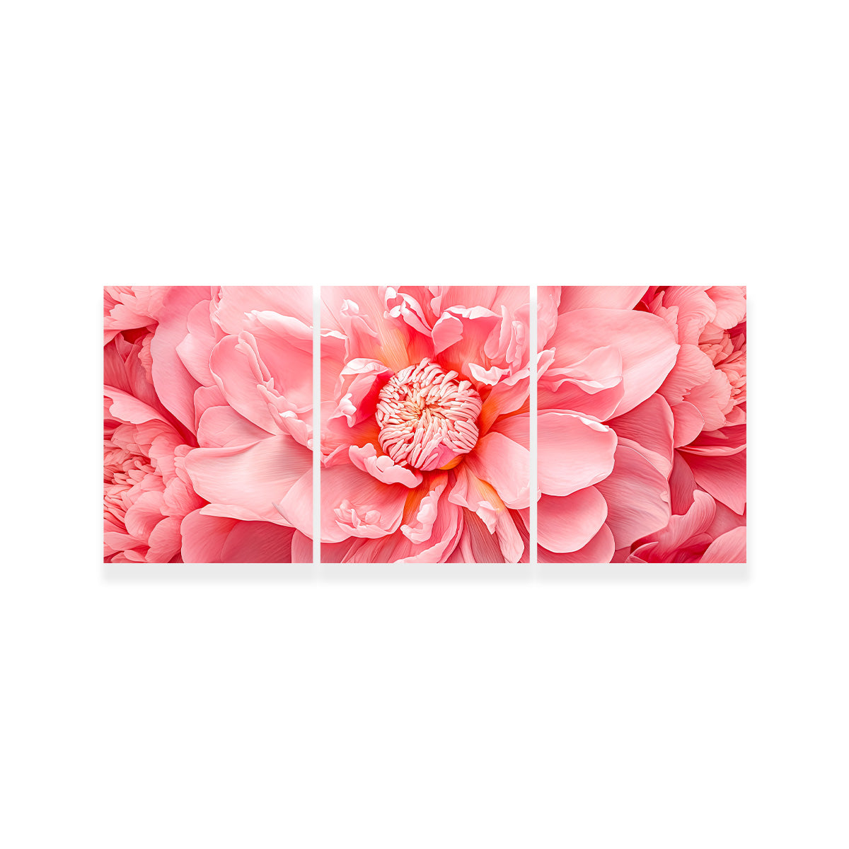 Stunning Pink Flower Canvas Print