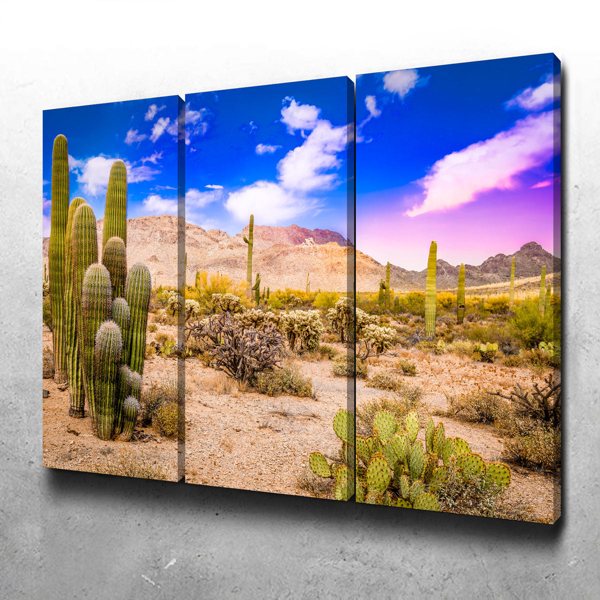 Gorgeous Arizona Desert Springtime Wall Art for Stunning Home Decor