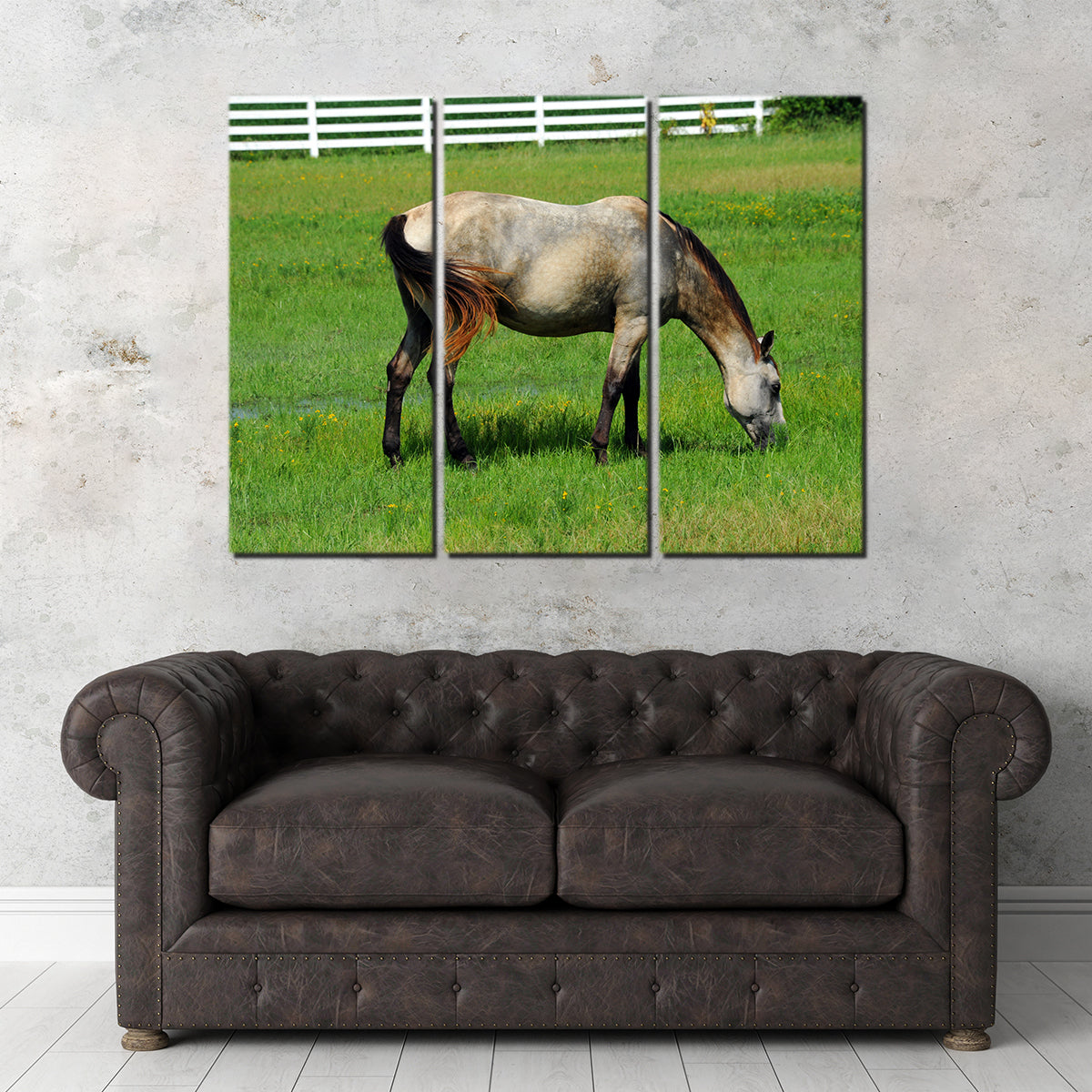 Stunning Arkansas Horse Grazing Wall Art for Home Decor