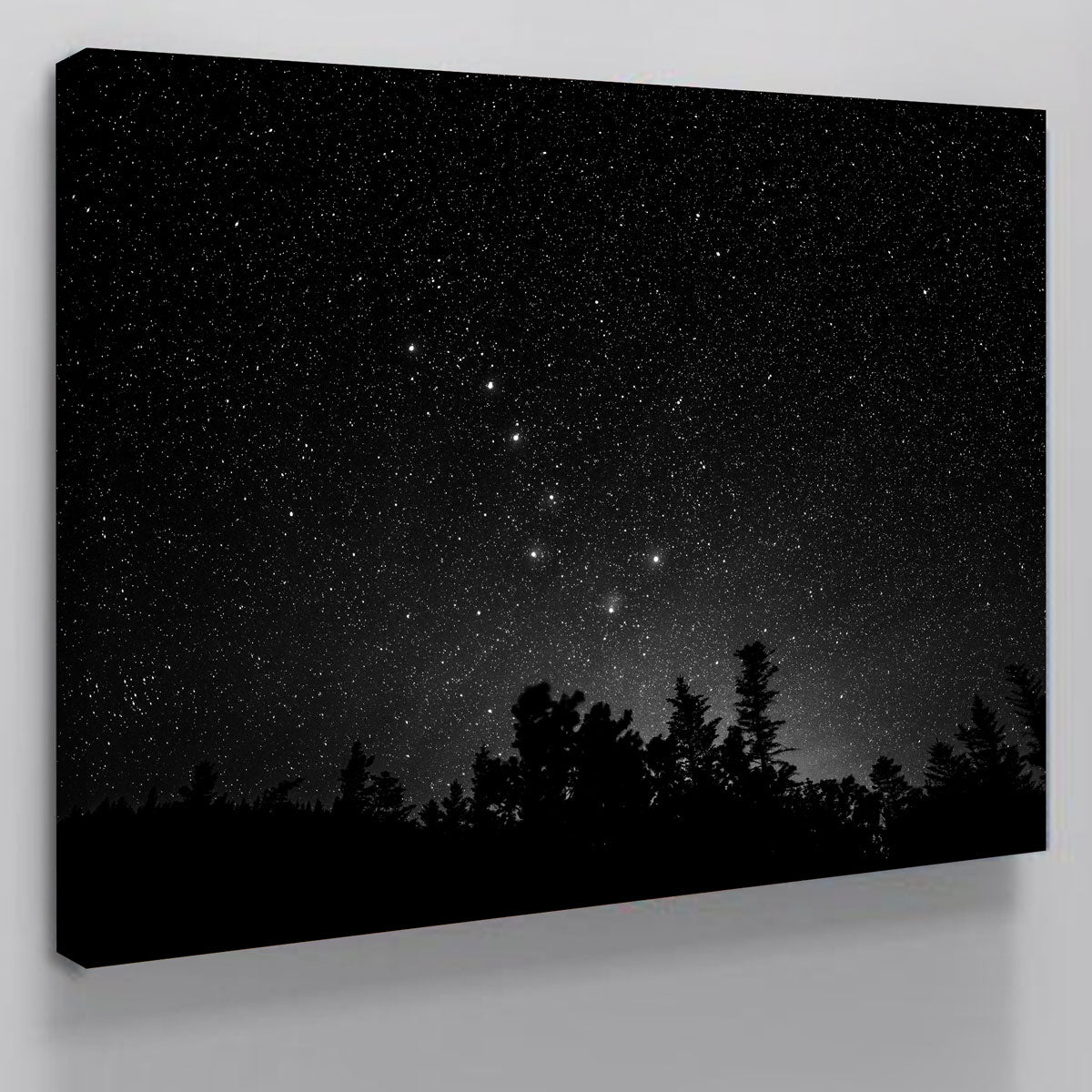 Exquisite Big Dipper Starry Night Wall Art by Dennis Maida