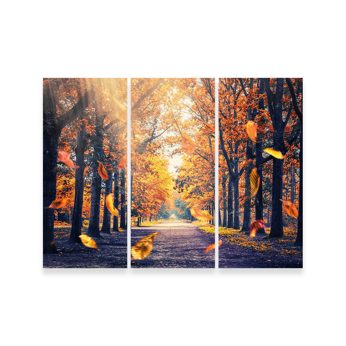 Autumn in Holland Stunning Wall Art for Home Decor