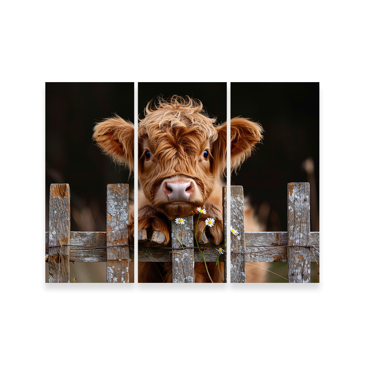 Gorgeous Highland Baby Calf Wall Art for Stunning Home Decor