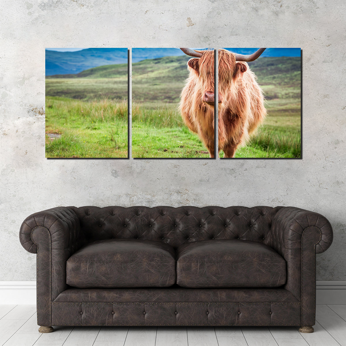 Charming Highland Cow in Isle of Skye Wall Art for Stunning Decor