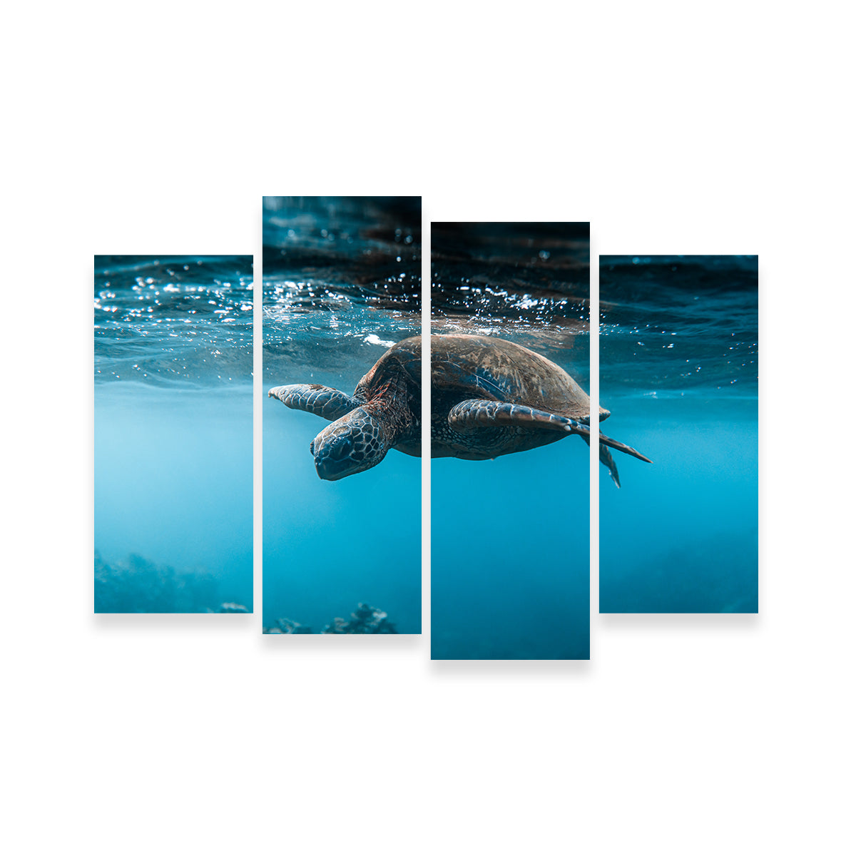 Exquisite Below the Surface Wall Art by Lucas Moore