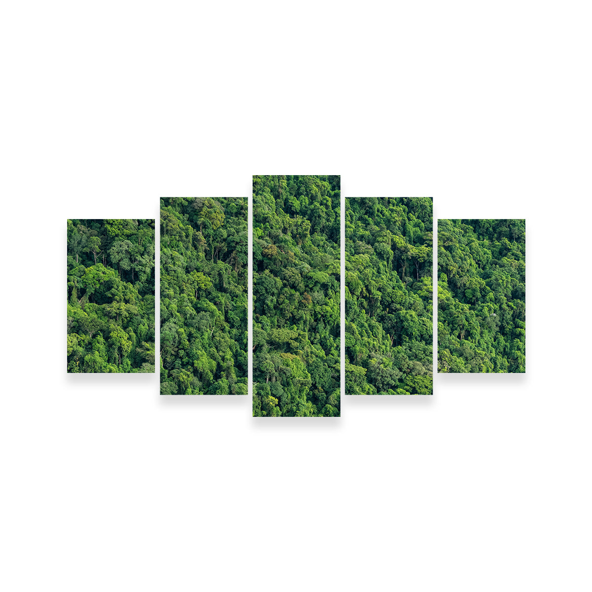 Stunning Atlantic Forest Wall Art by Sofia Leite Fonseca