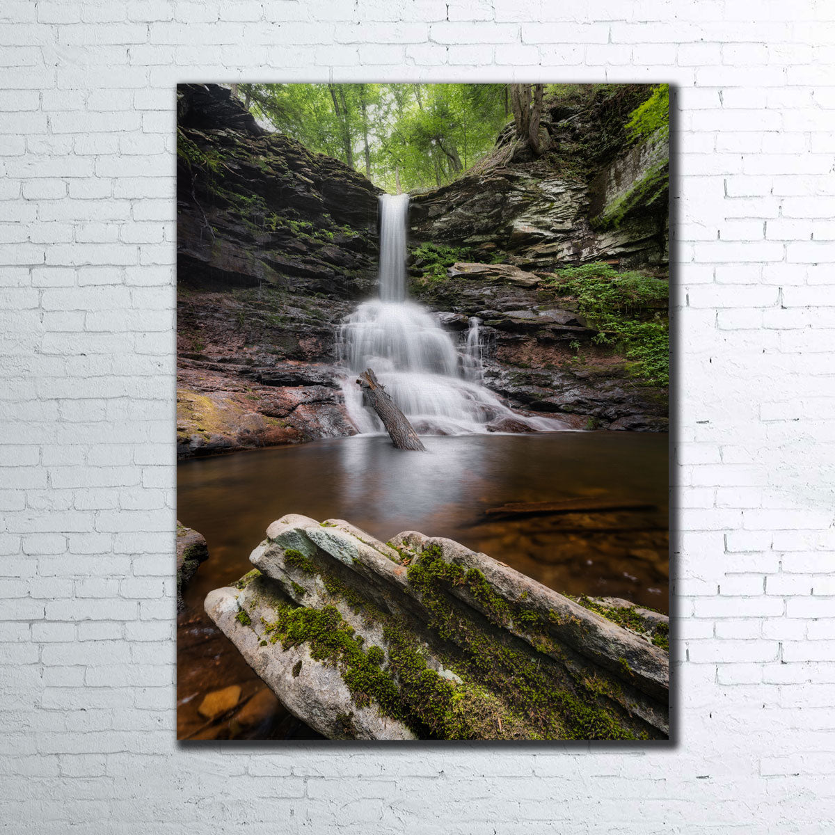 Stunning Sheldon Reynolds Falls Wall Art by Shaun Mayer