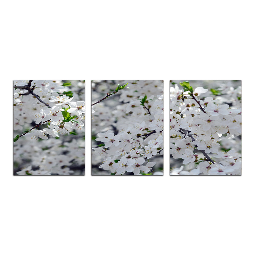 Gorgeous Apple Tree Blossoms Wall Art for Stunning Home Decor