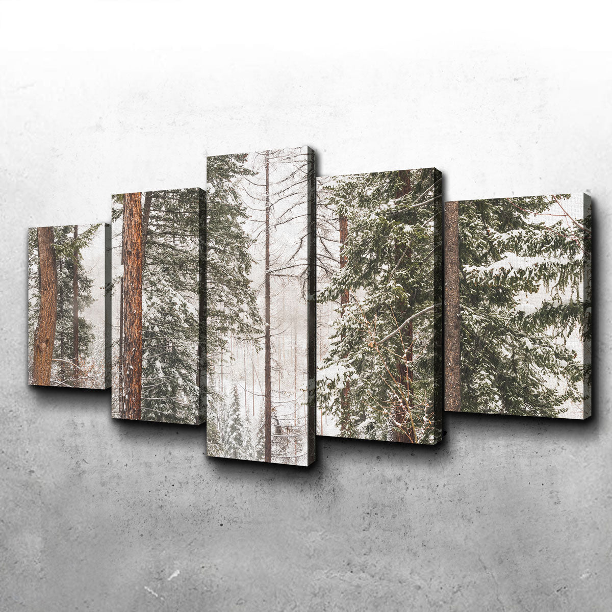 Stunning Snow in Lois Creek Wall Art by Mike Cotton