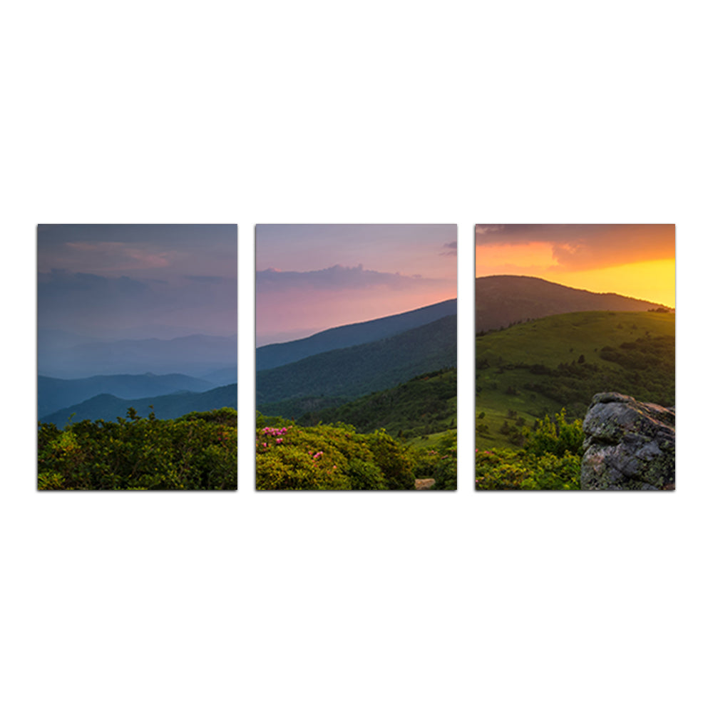 Stunning Appalachian Trail Roan Mountain State Park Wall Art for Your Home Decor