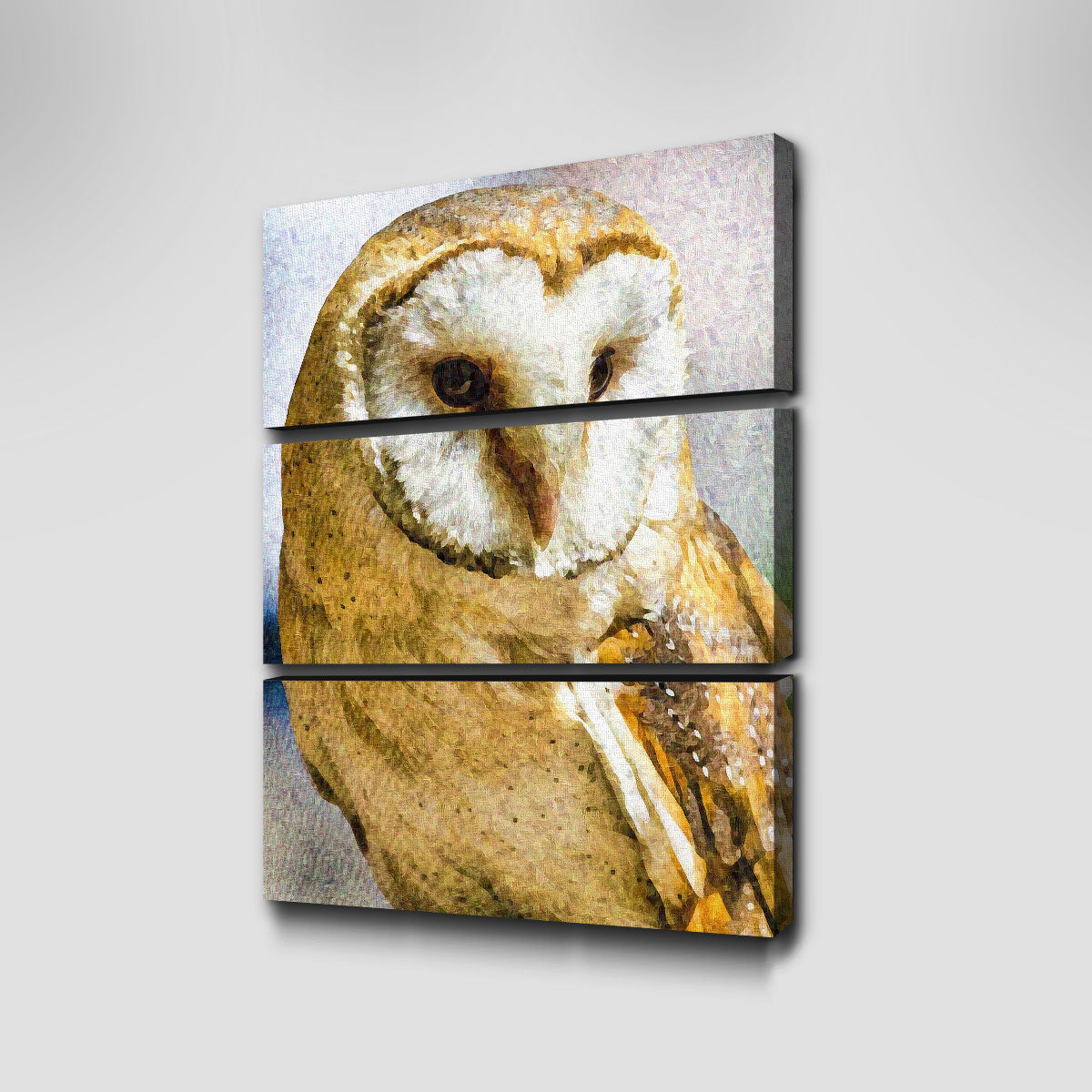 Exquisite Barn Owl Wall Art by Denise Dundon