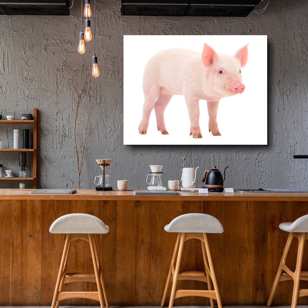 Adorable Baby Pig Canvas Print