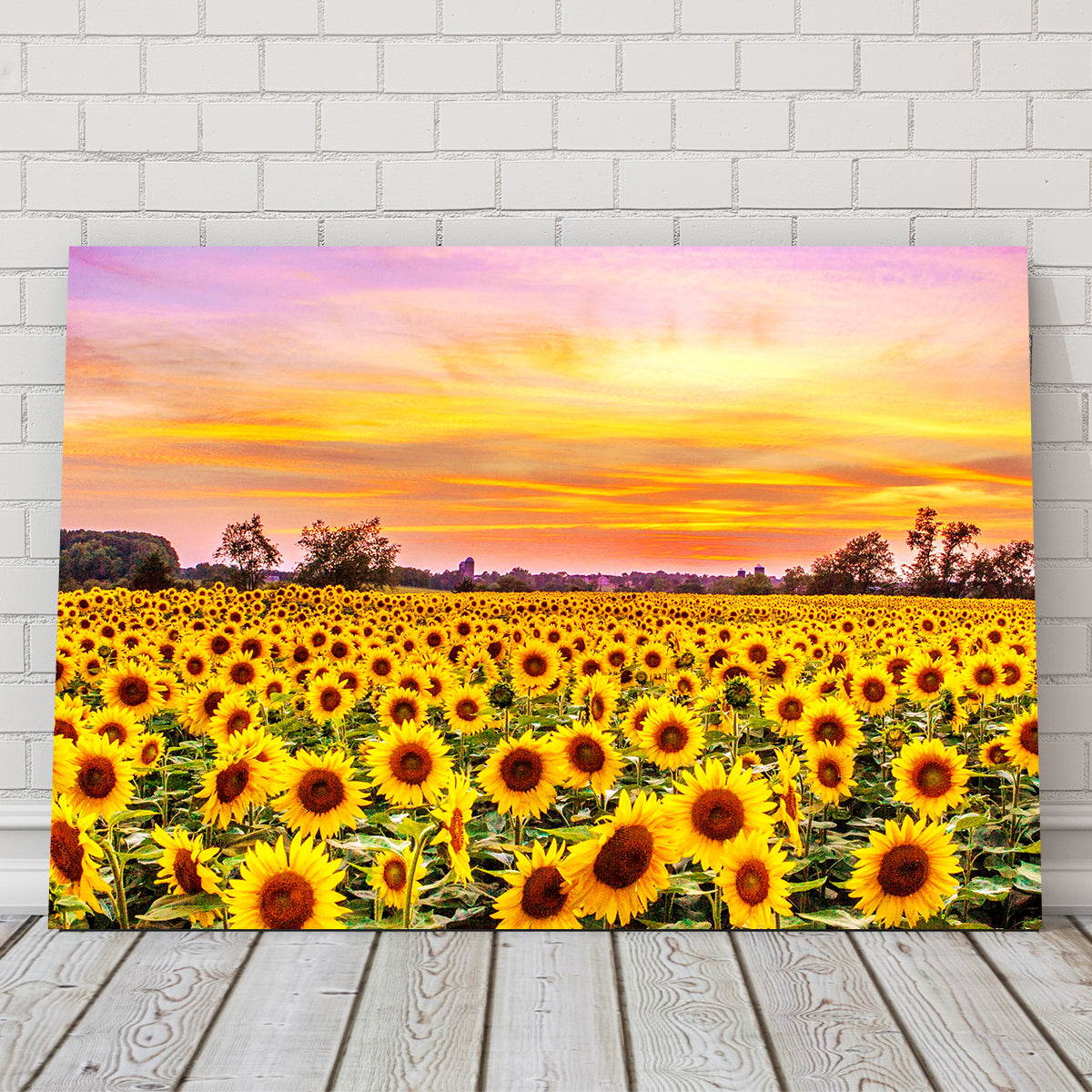 Stunning Bed of Sunflowers Wall Art for Your Home Decor