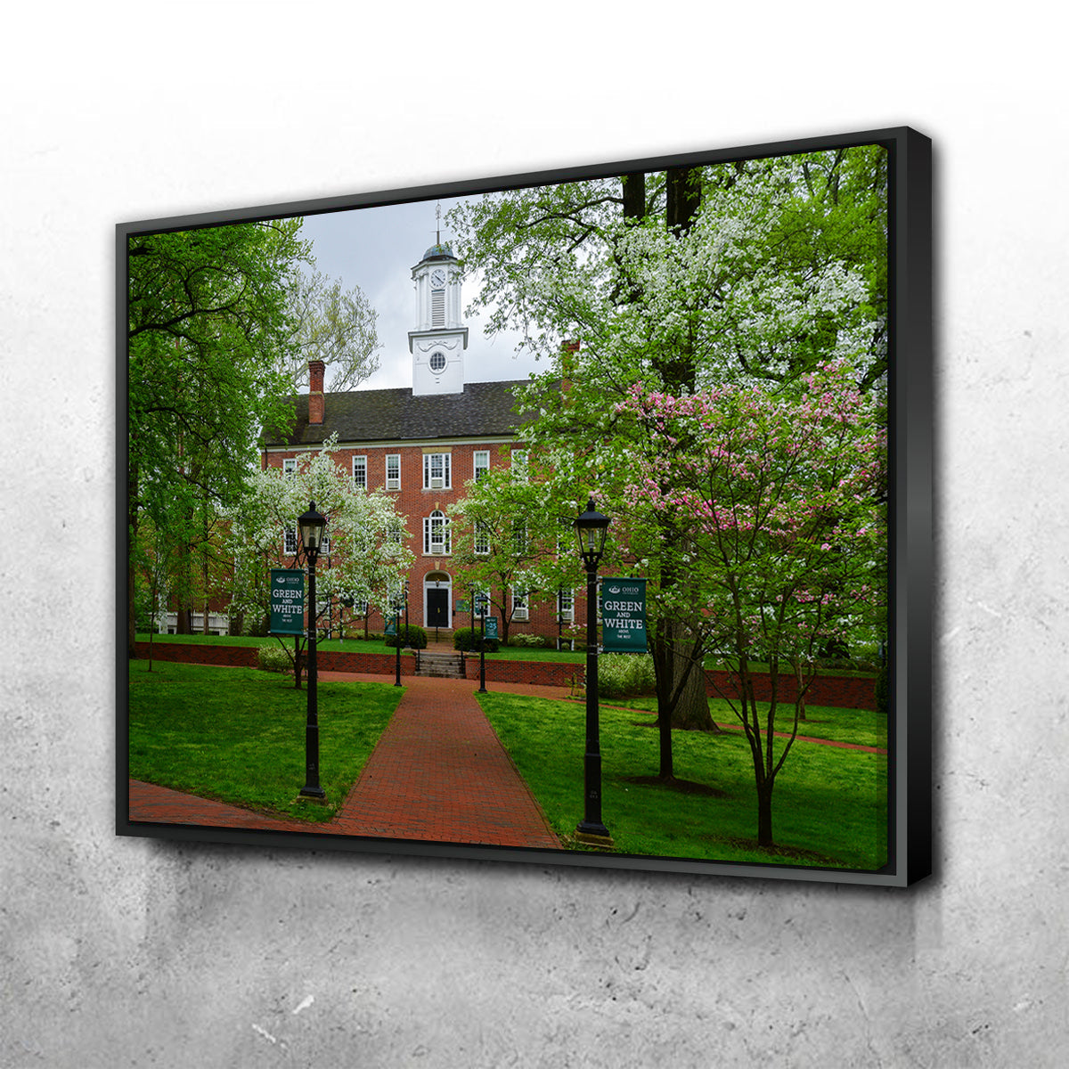 Exquisite Ohio University Wall Art for Home Decor