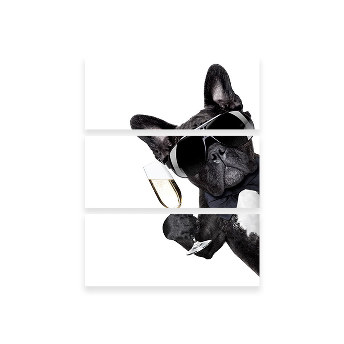 Exquisite Champagne Dog Wall Art for Home Decor