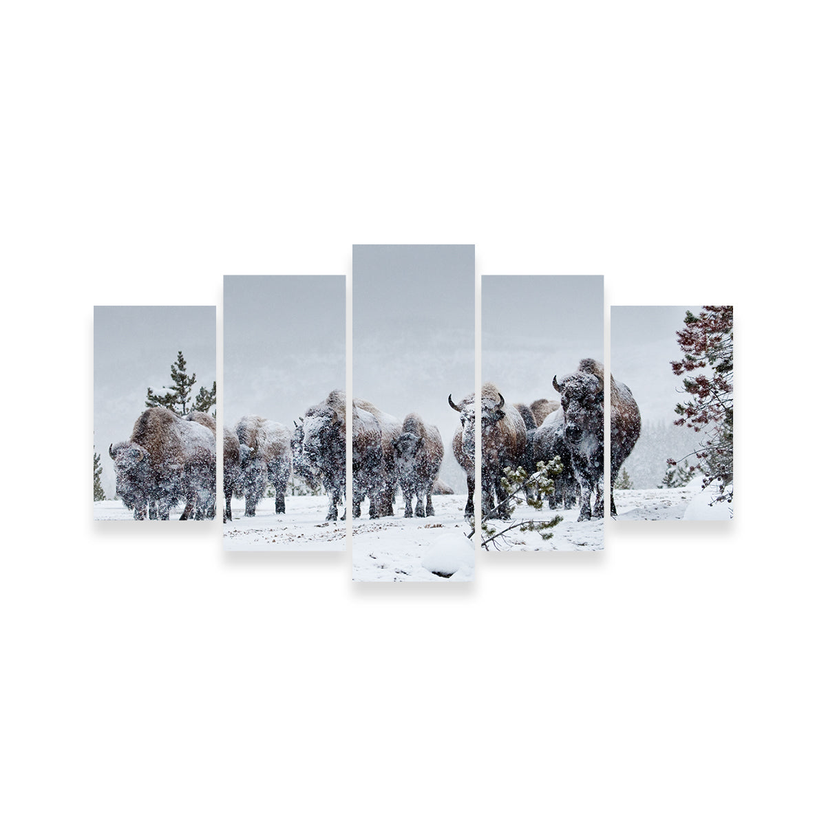 Stunning American Bison in Winter Snow Wall Art for Your Home Decor