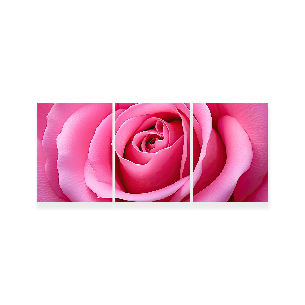 Gorgeous Pink Rose Canvas Print