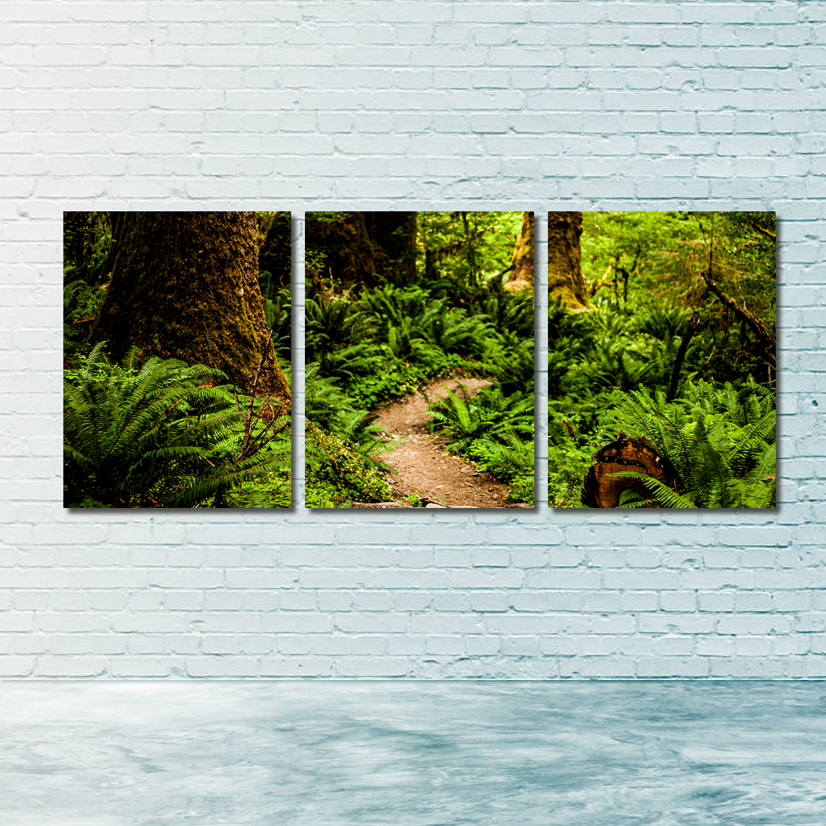 Stunning Hoh Rainforest Wall Art by Kyle Sherry