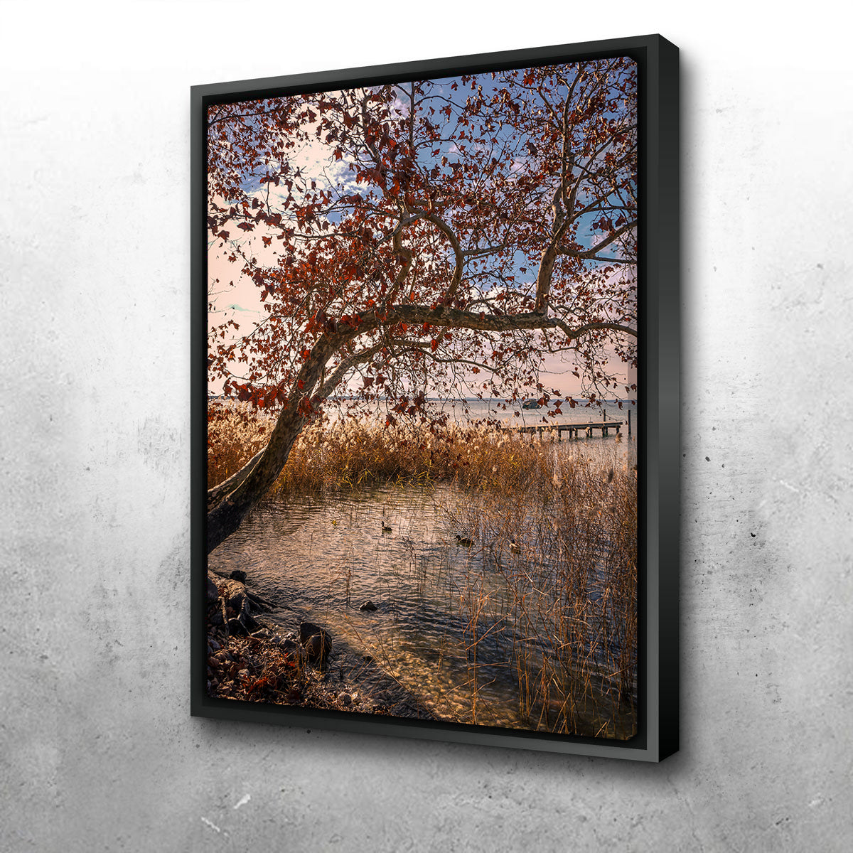 Stunning Autumn Wall Art by Stefano Baltieri
