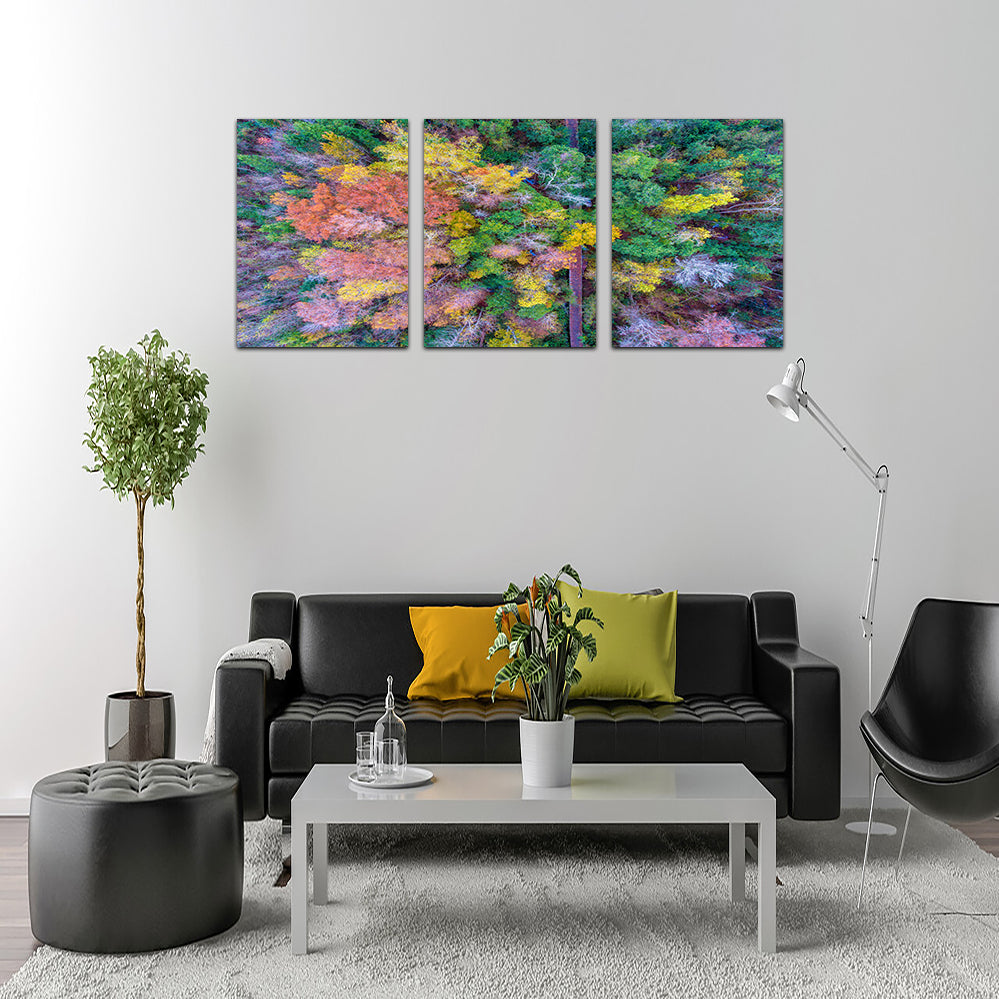 Stunning Bayfront Park Nature Boardwalk Wall Art from Above