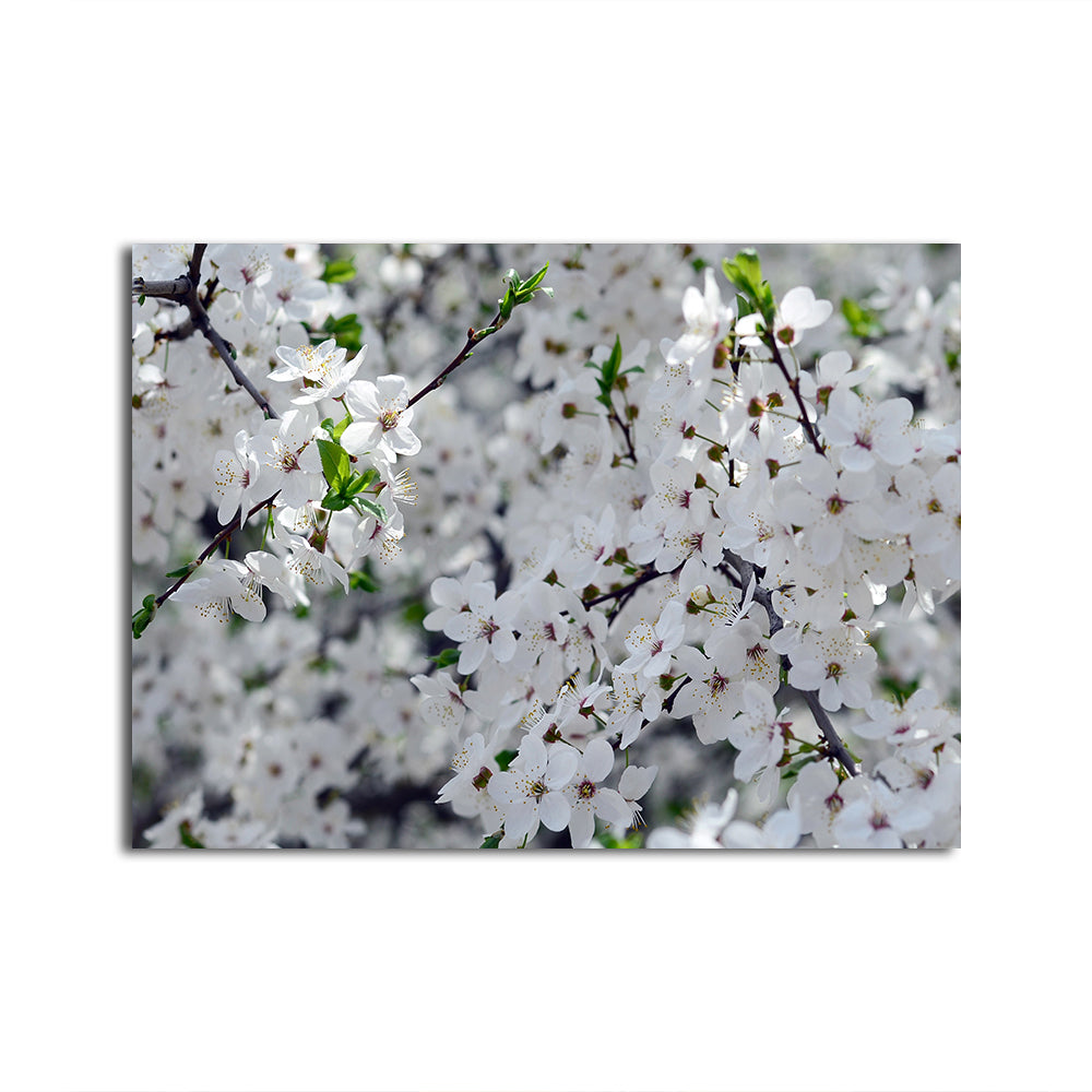 Gorgeous Apple Tree Blossoms Wall Art for Stunning Home Decor