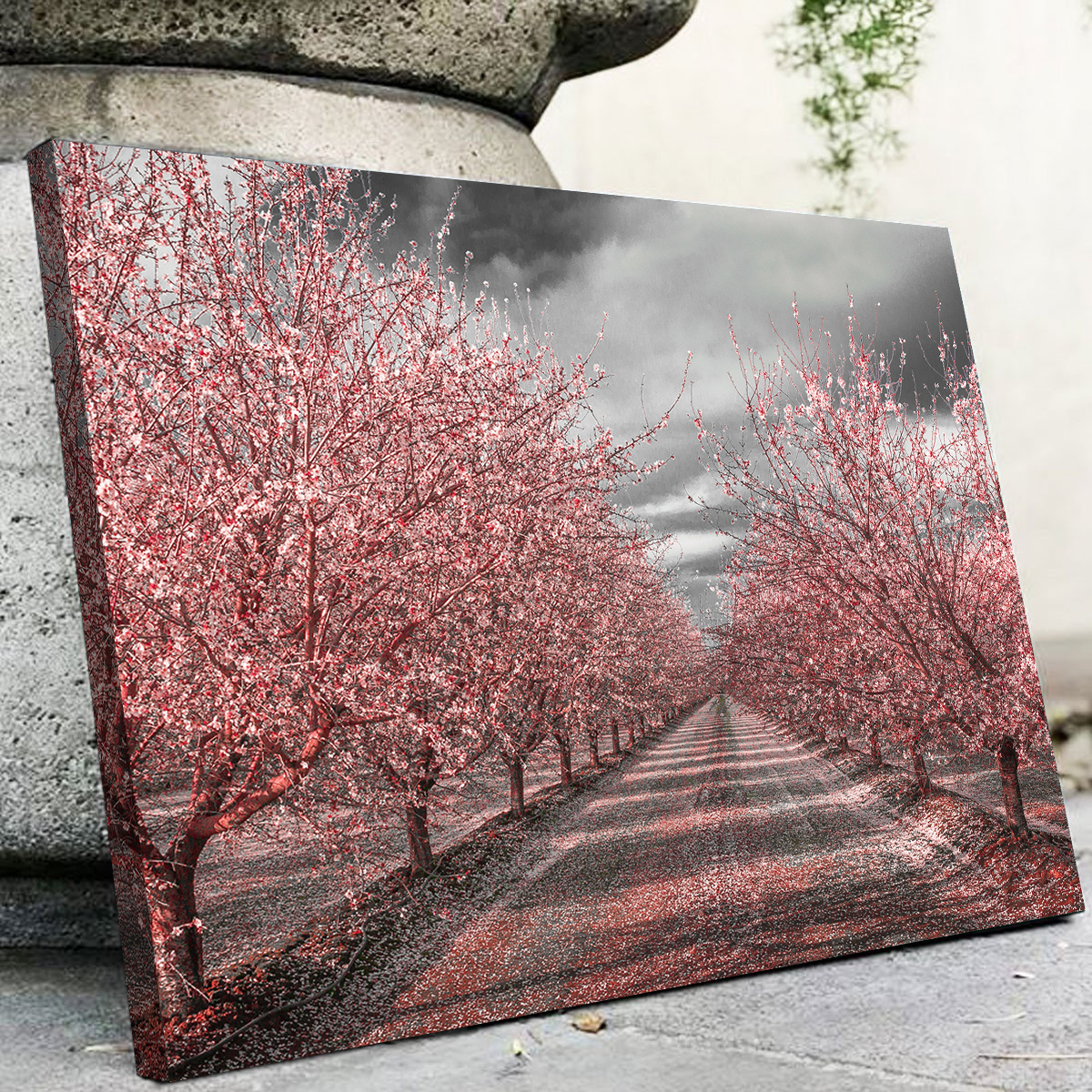 Stunning California Pink Blossoms Wall Art for Your Home Decor