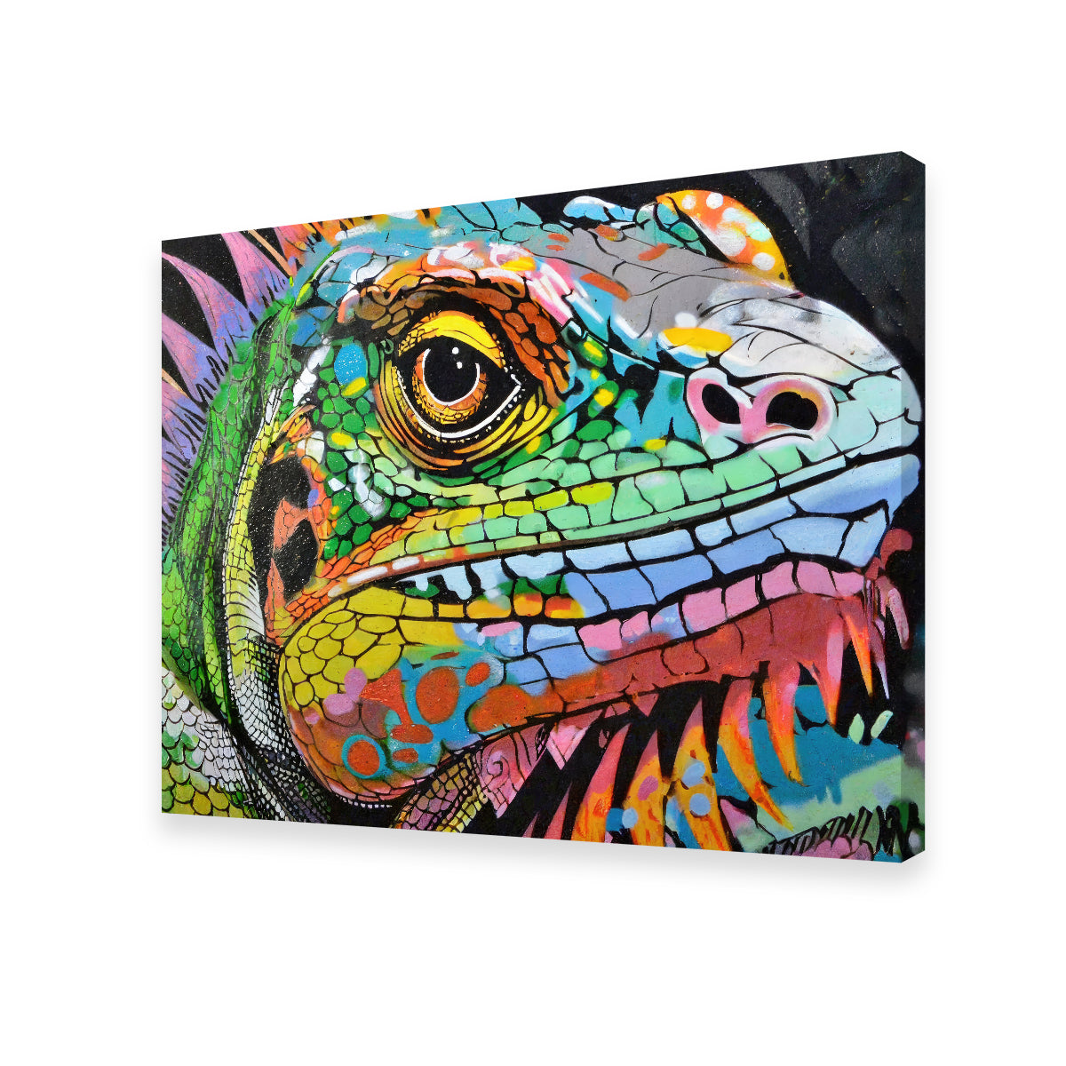 Stunning Iguana Graffiti Wall Art by Stephen Chambers