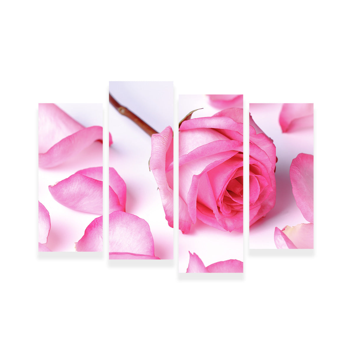 Gorgeous Pink Rose Petals for Decoration