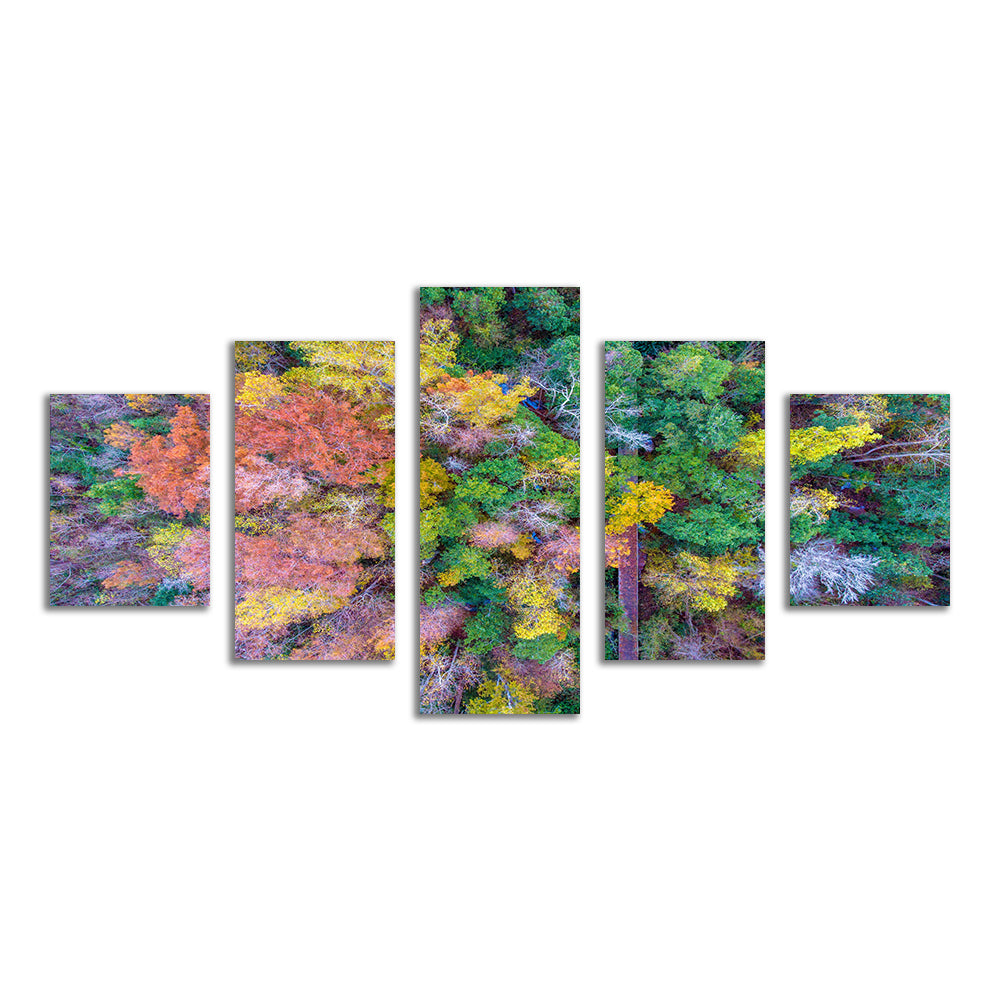 Stunning Bayfront Park Nature Boardwalk Wall Art from Above