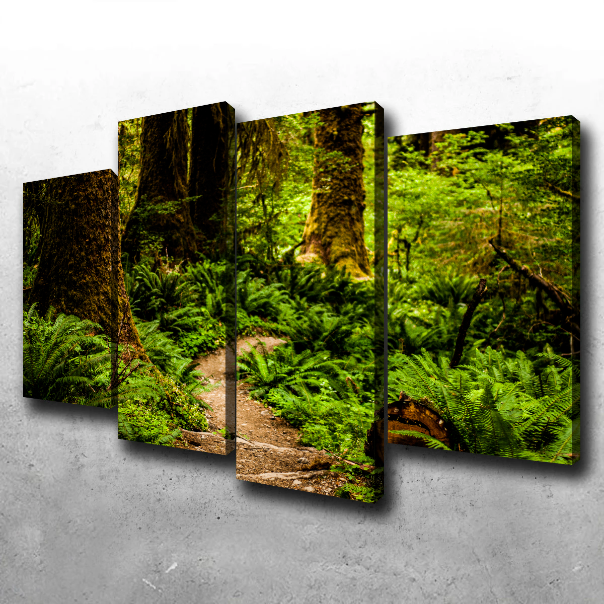 Stunning Hoh Rainforest Wall Art by Kyle Sherry