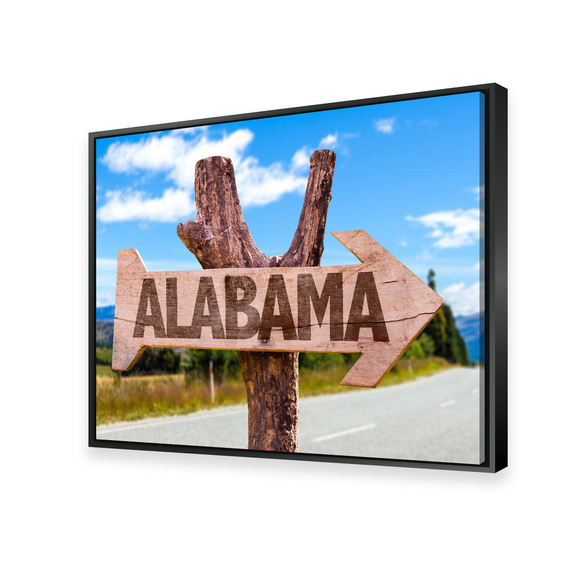 Stunning Alabama Wooden Sign Wall Art - Sustainable and Museum-Quality