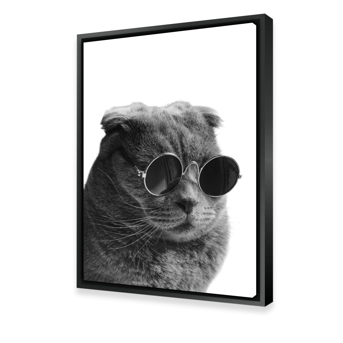 Stylish Cat Cool Wall Art by Lawisi