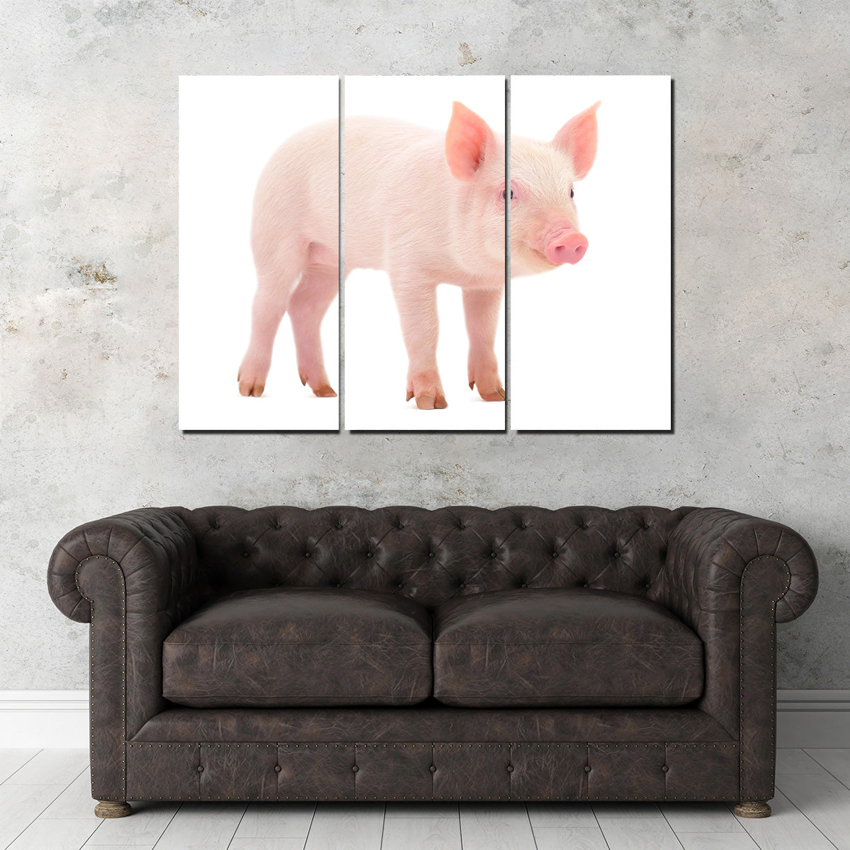 Adorable Baby Pig Canvas Print