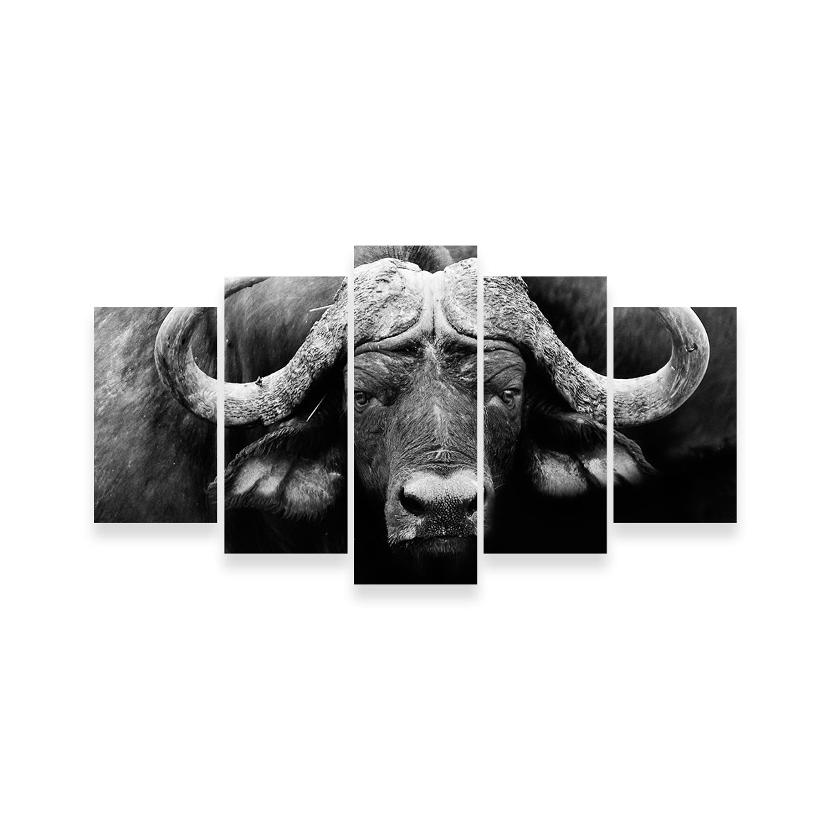 Exquisite African Cape Buffalo Wall Art for Stunning Home Decor